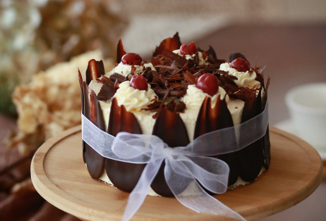NZ’s Best Chocolate Cakes – Indulge in Cocoa Cloud’s Heavenly Creations! 🍫🎂