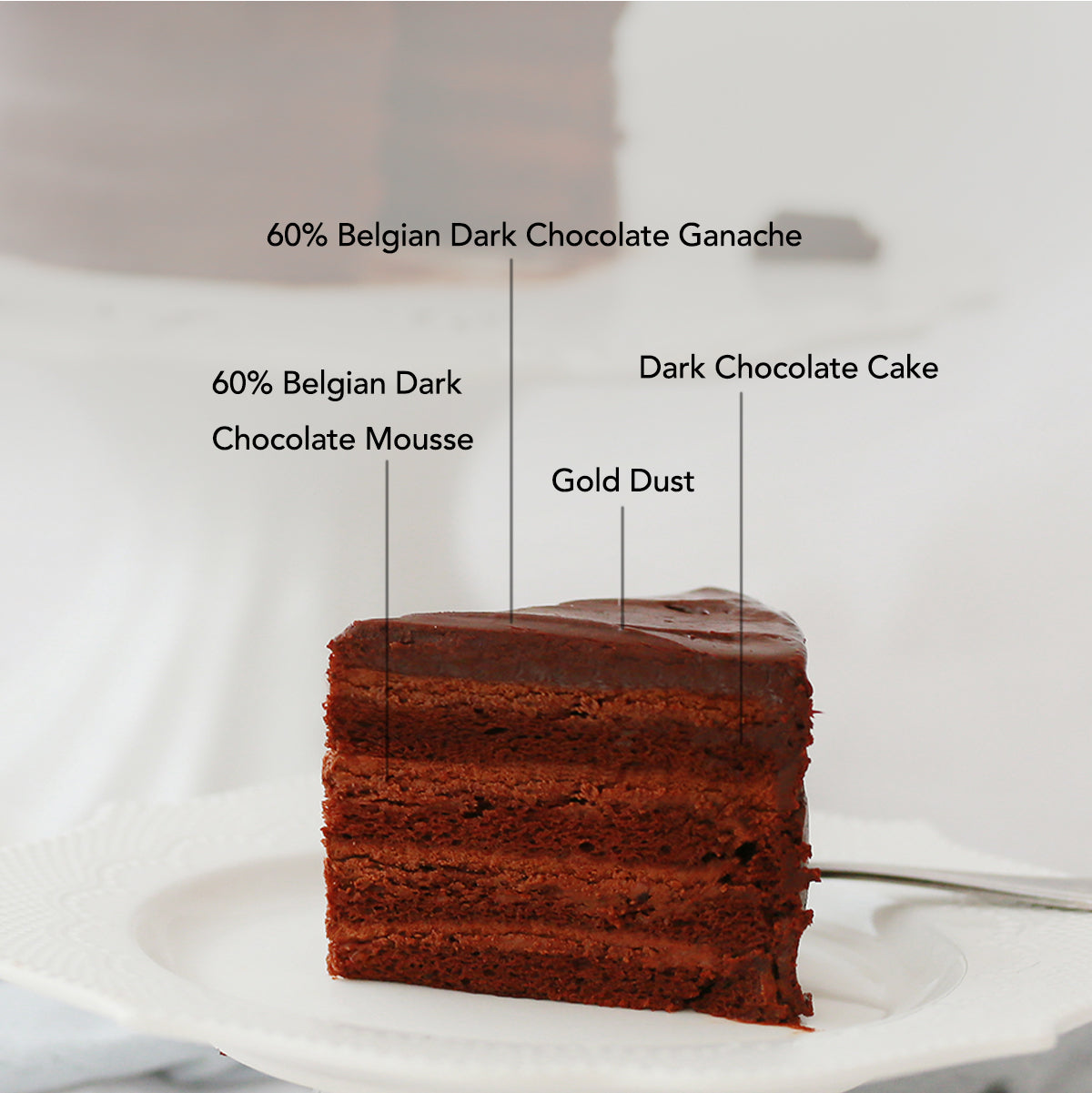 10 inches Signature Cloud Chocolate Cake